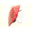 Recambio de piloto trasero derecho para nissan primera hatchback (p12) 2.2 dci referencia OEM IAM 26550AU210  