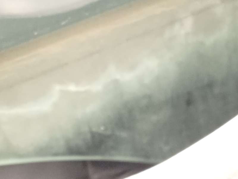 Recambio de puerta delantera izquierda para citroën c4 ii (nc_) 1.6 bluehdi 120 referencia OEM IAM 9002EF 5