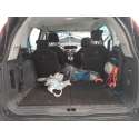 CITROËN C4 GRAND PICASSO I (UA_)