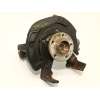 Recambio de mangueta delantera izquierda para audi a1 sportback (gba) 30 tfsi referencia OEM IAM 2Q0407255AC  