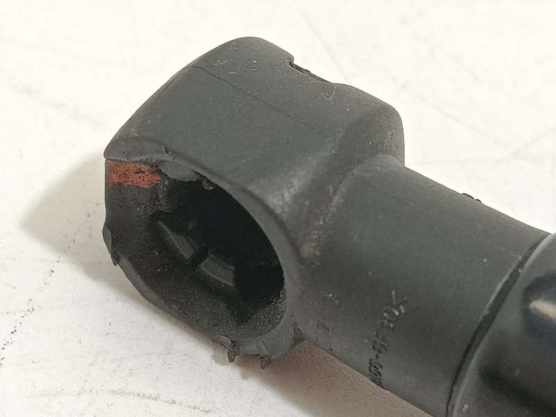 Recambio de amortiguadores maletero / porton para ford ecosport 1.0 ecoboost referencia OEM IAM GN15N400A12AB 2168943 - Crema 3