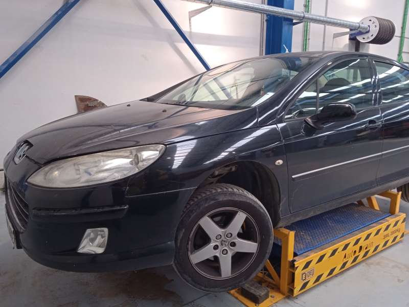 PEUGEOT 407 (6D_)