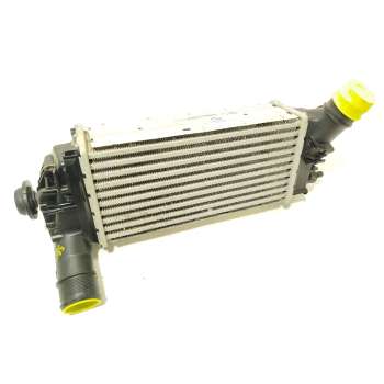 INTERCOOLER L1BG6D624AB 2524812 