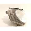 Recambio de faro derecho para mercedes-benz clase c (w203) c 220 cdi (203.006) referencia OEM IAM A2038200261  0301166202