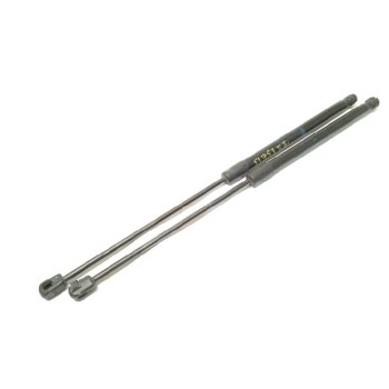 AMORTIGUADORES MALETERO / PORTON 51247318896 