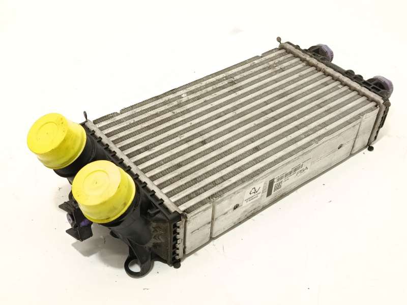 INTERCOOLER 9824742280 JD1271006520