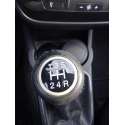 FIAT PUNTO (EVO) (199)