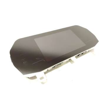 CUADRO INSTRUMENTOS 248098404R 