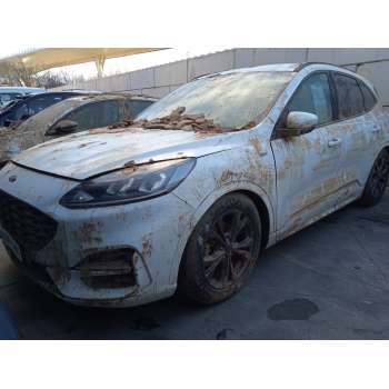 FORD KUGA III (DFK)