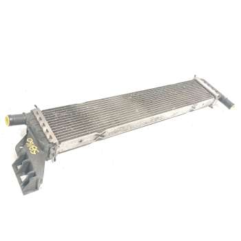 RADIADOR AGUA 214108831R 
