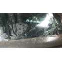 RENAULT SCENIC III