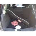 FORD FOCUS C-MAX (DM2)