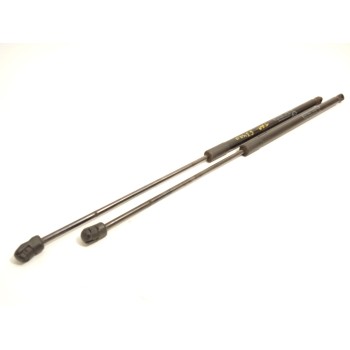 AMORTIGUADORES MALETERO / PORTON AM51R406A10AE 1803164 