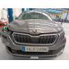 skoda kamiq (nw4) del año 2022
