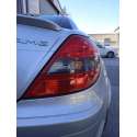 MERCEDES-BENZ CLASE SLK (W171) ROADSTER