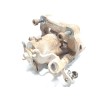 Recambio de pinza freno trasera derecha para peugeot partner kombi access referencia OEM IAM 4402F6  