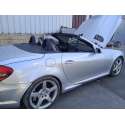 MERCEDES-BENZ CLASE SLK (W171) ROADSTER