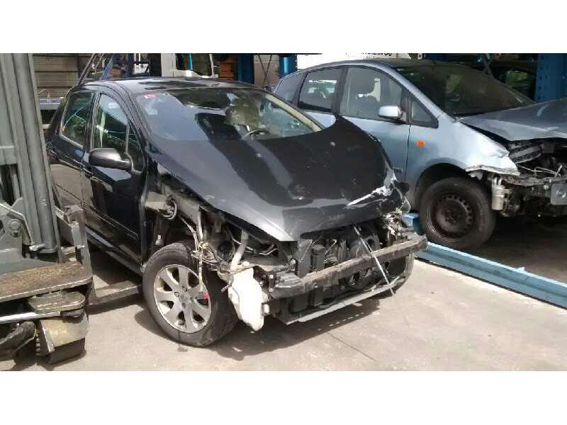 PEUGEOT 307 (S1)