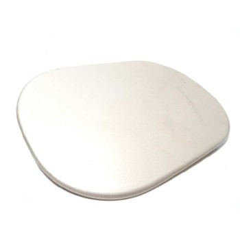 TAPA EXTERIOR COMBUSTIBLE CPLA405A26A LR041799