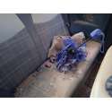 FIAT 500 (312_)