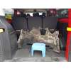 ford transit custom kasten del año 2017