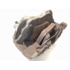 Recambio de pinza freno delantera izquierda para ford focus lim. (cb8) edition referencia OEM IAM 1682876  AV612B302AA