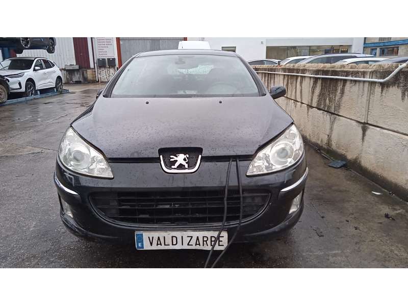 PEUGEOT 407 (6D_)